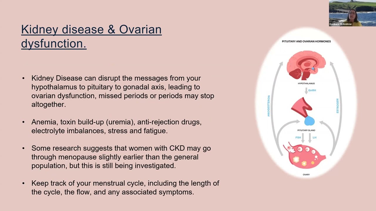 Navigating Menopause Webinar