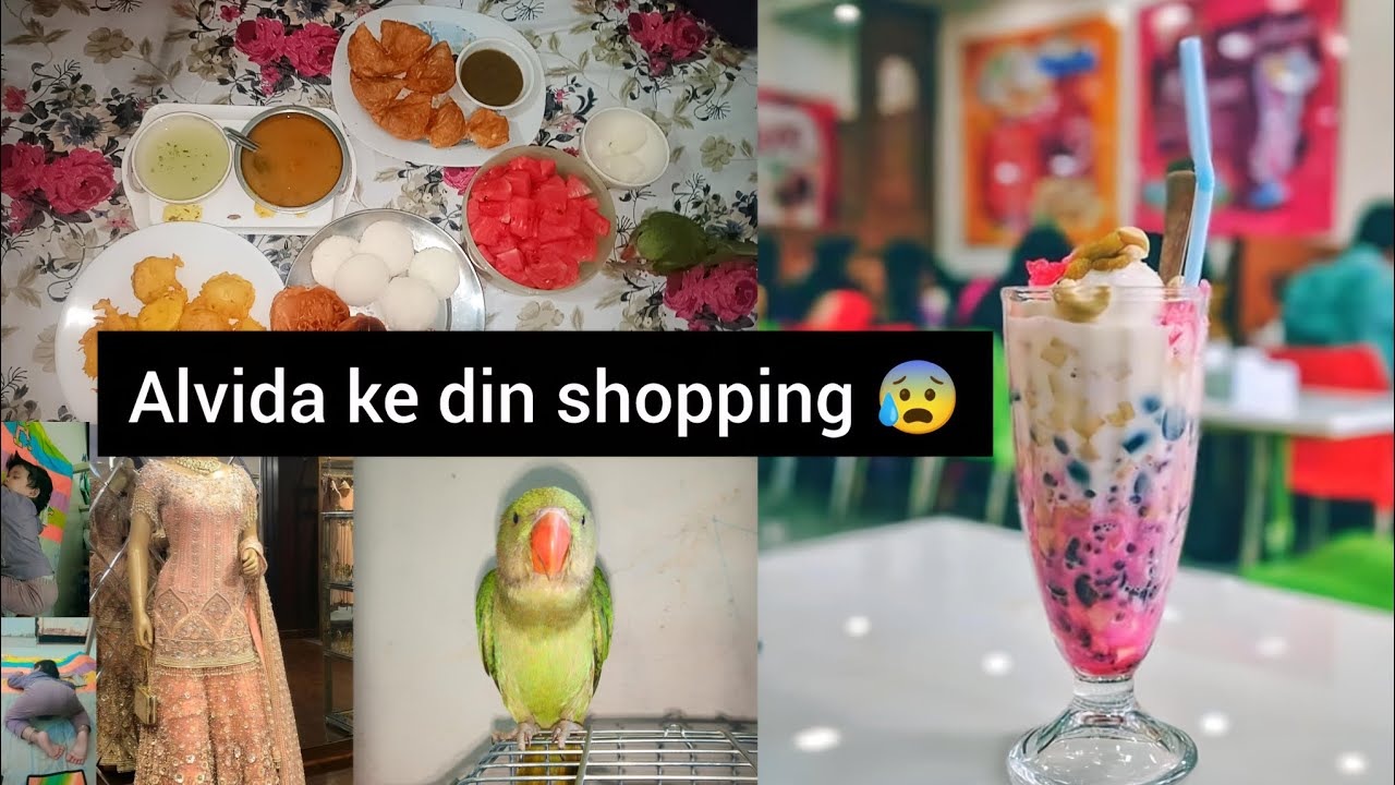 Alvida ke din shopping 😰🛍️#zunaira @officialzunaira9