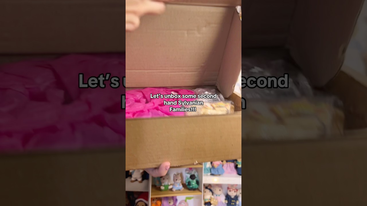 Unboxing Second Hand Sylvanian Families📦#sylvanianfamilies #calicocritters #vintage #collector