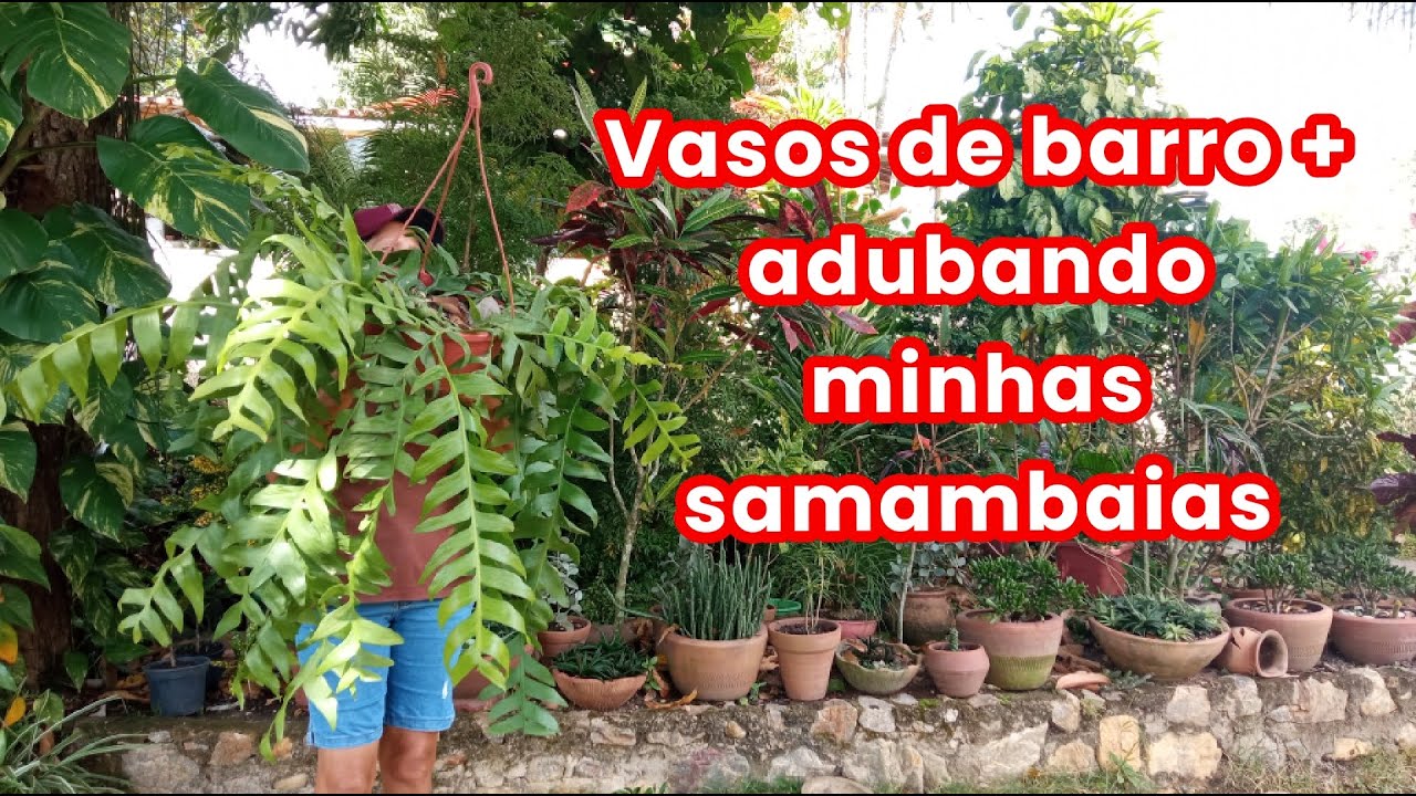 MOSTRANDO MEUS VASOS DE BARRO + ADUBANDO MINHAS SAMAMBAIAS