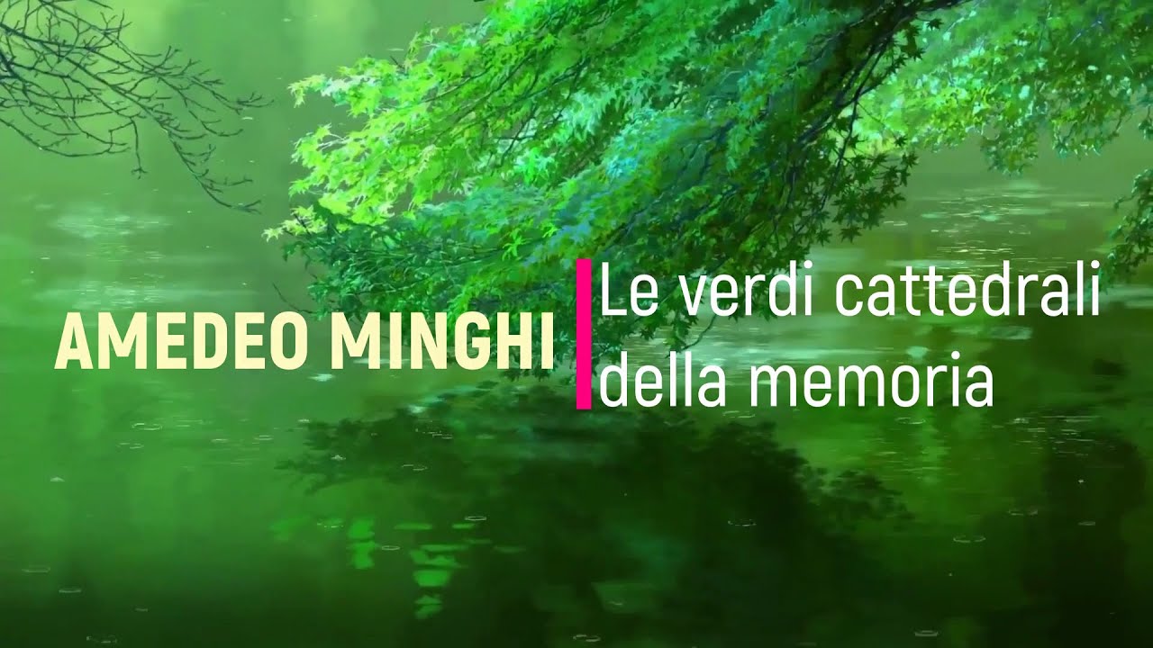 Amedeo Minghi - Le verdi cattedrali della memoria [AMV]