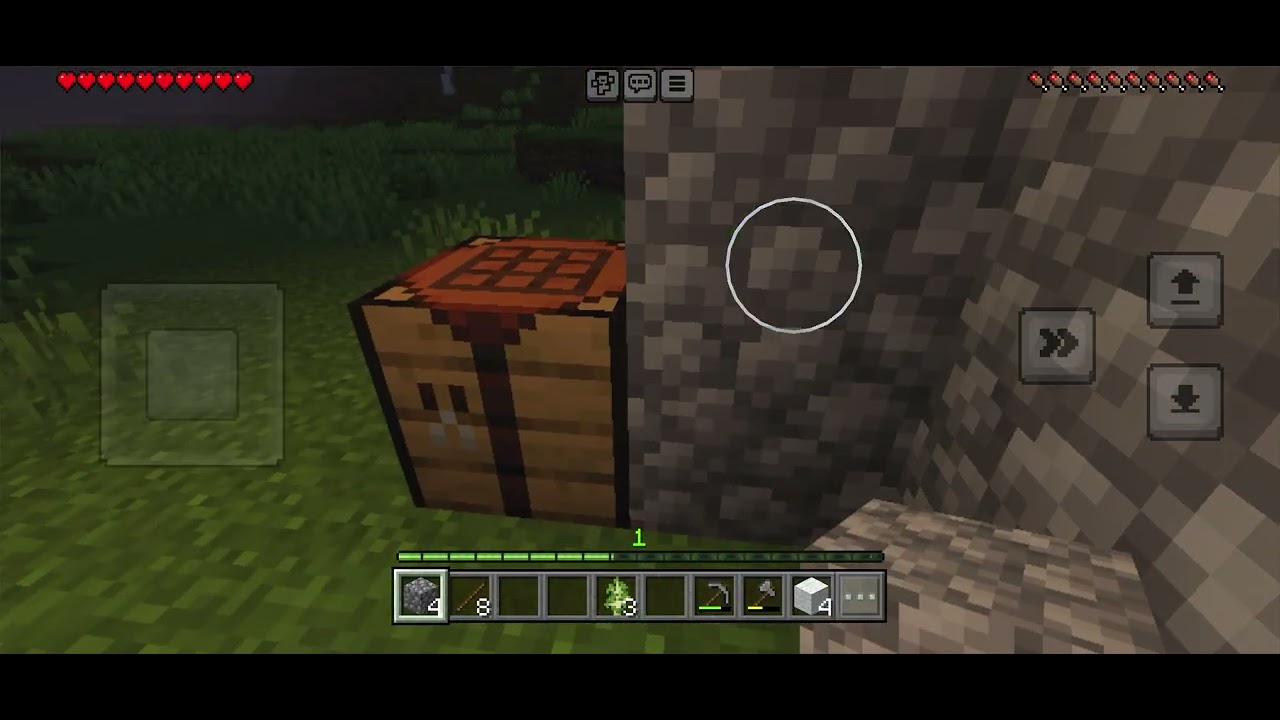 Minecraft #3