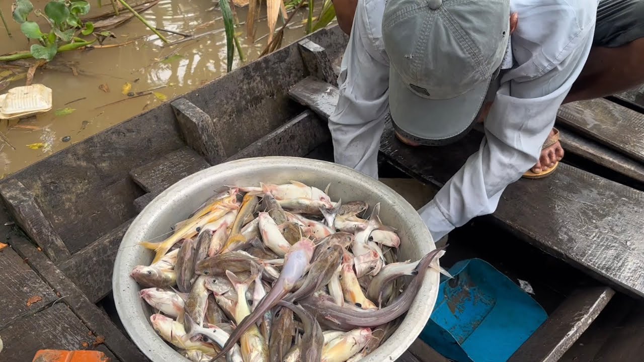 Chú Bình ở Tiền Giang xuống chơi / Anh em thả Câu trúng mánh quá đậm | Phần 1 