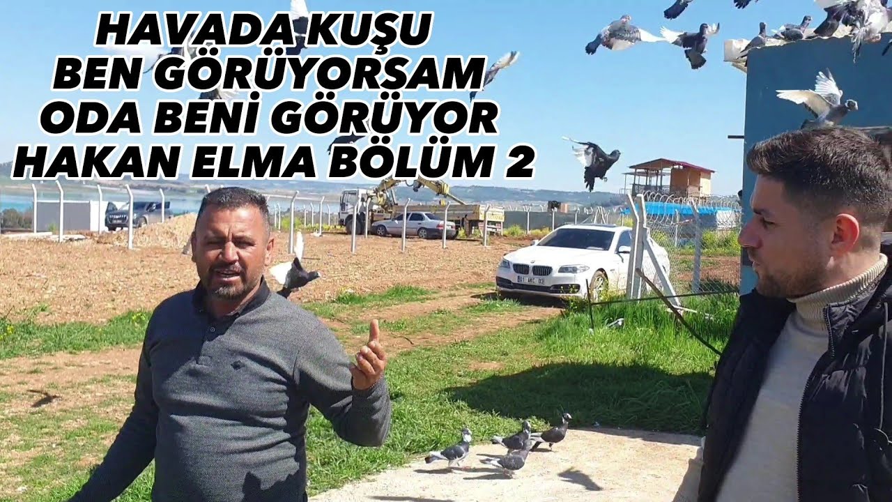 HAVADAKİ  KUŞU BEN GÖRÜYORSAM ODA BENİ GÖRÜYOR ADANA GÜVERCİNLERİ HAKAN  ELMA/PROF