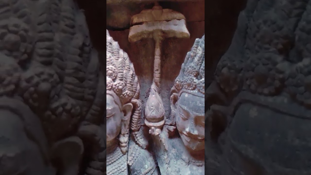 The Terrace of the Elephants New Clip 71