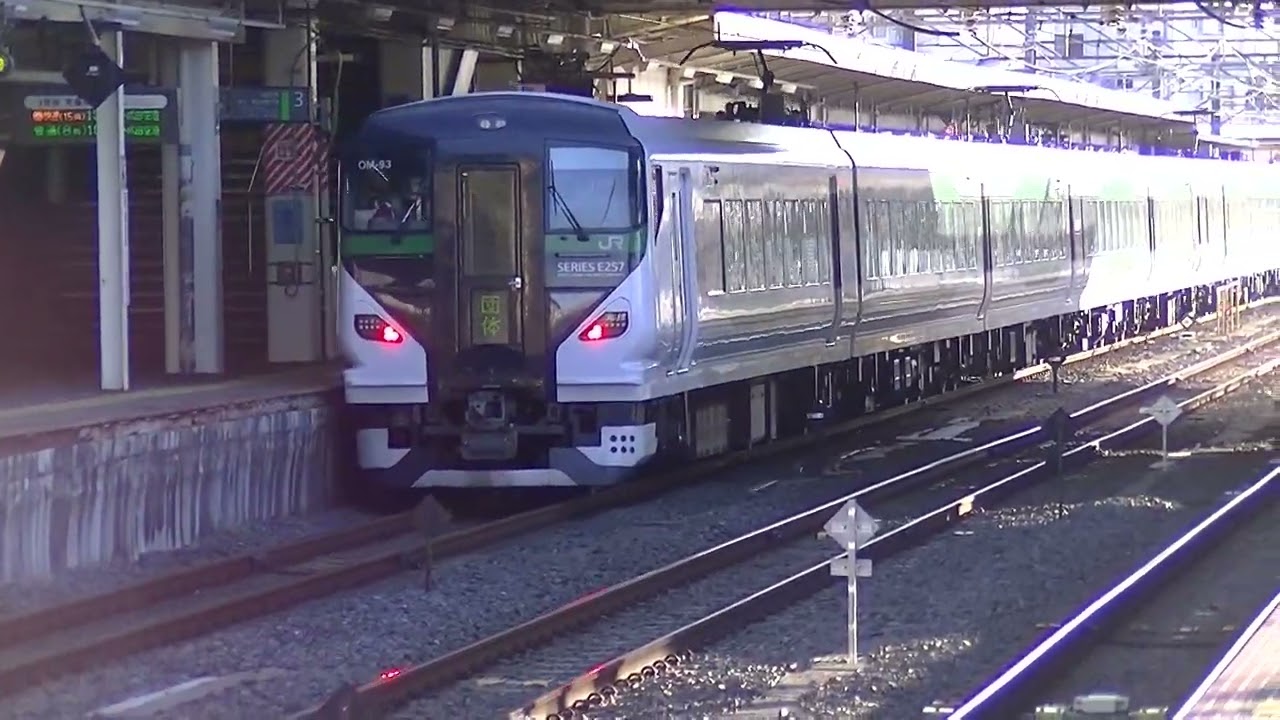 団体列車(1.21)　2026東瀛太極拳社