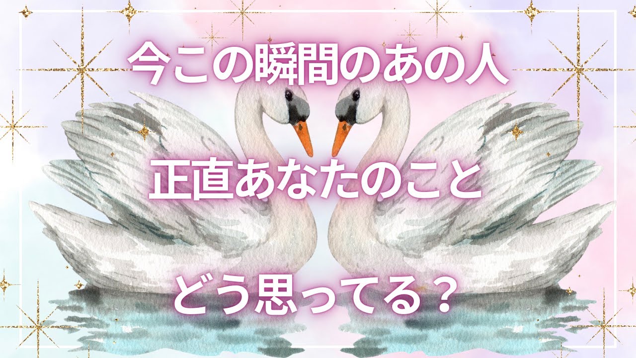 【本音知りたい？】ご覧になった時がタイミング☘️今この瞬間のあの人の気持ち✨恋愛タロットリーディング🪄๋ ⭑🫧