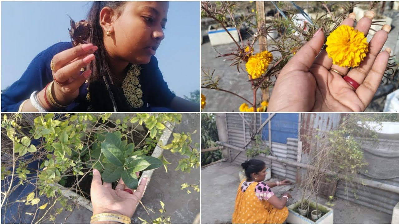 New vlog.. First sasurbari vlog ...🧿❤ki ki korlam 