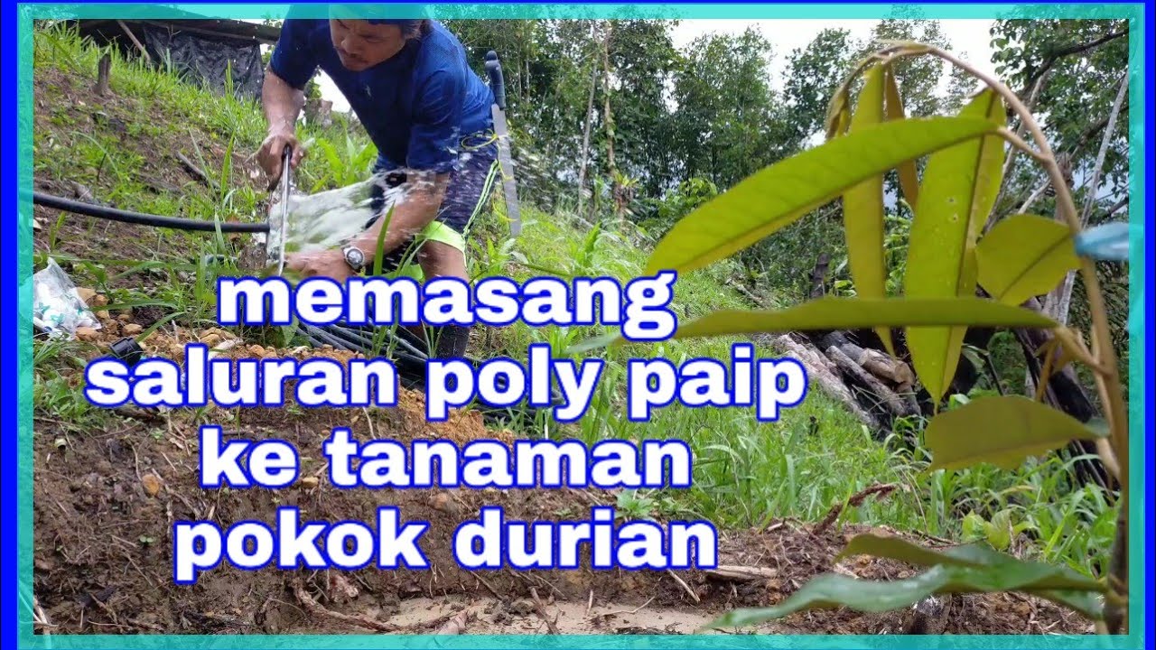 Memasang poly paip di #GardenStanLy