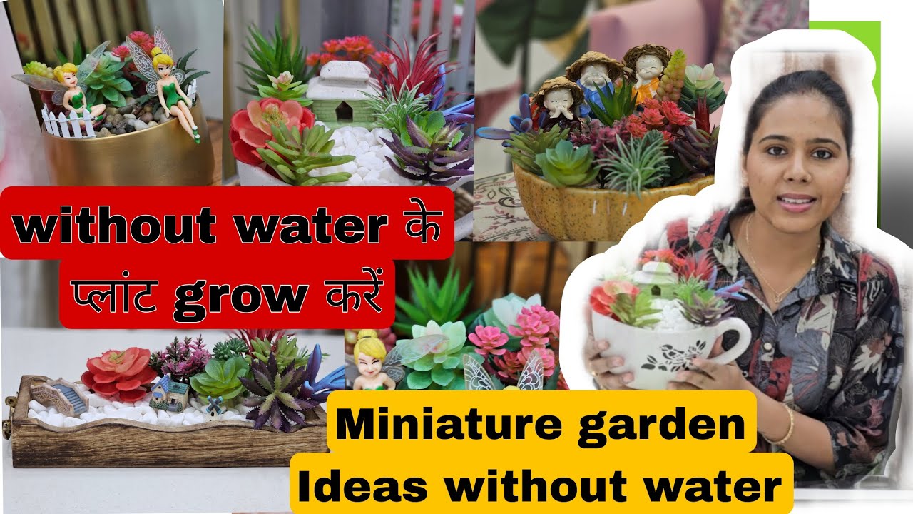 Miniature garden ideas | Tray garden with sacullents | 5 minutes mai tray garden 😍 #miniaturegarden
