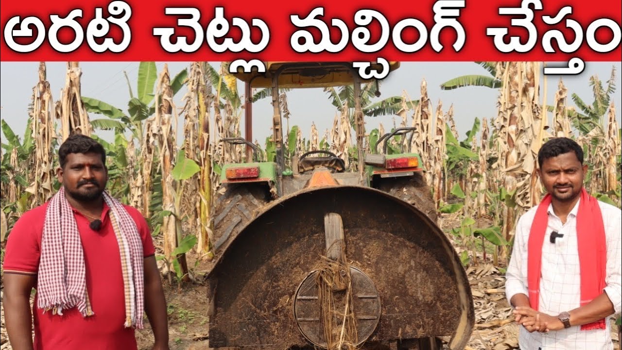 Banana Mulcher నడుపుతున్నాను | రైతు బడి