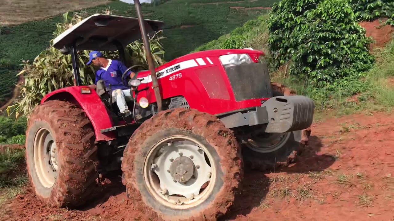 MF 4275 carregado de milho descendo morro escorregadio