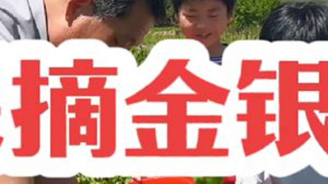 去金银花实践基地，体验采摘的快乐！#记录校园生活 #金银花 #采摘金银花