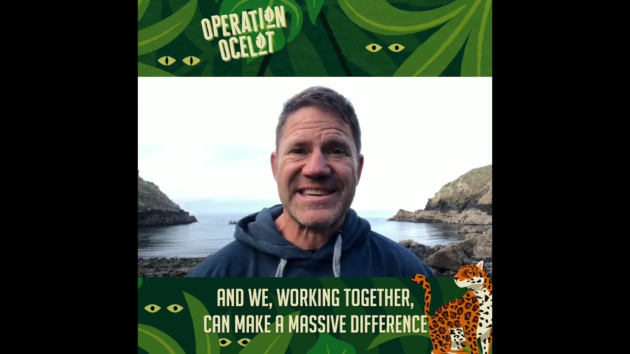 #OperationOcelot: Save the rainforest with Steve Backshall this Christmas!
