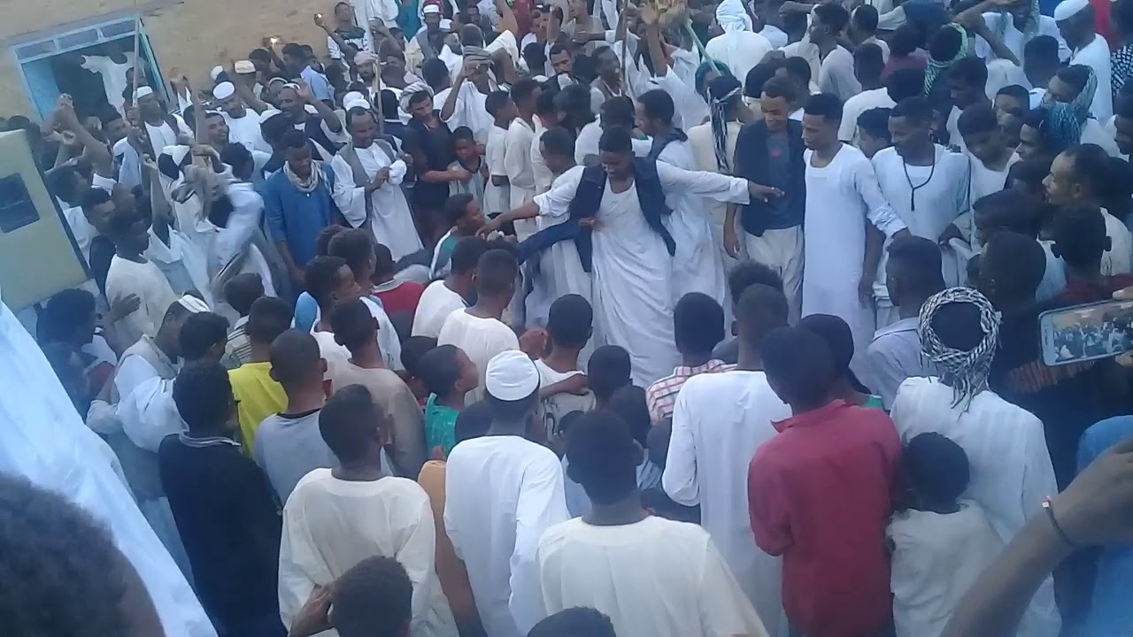 ابراهيم ود العليش