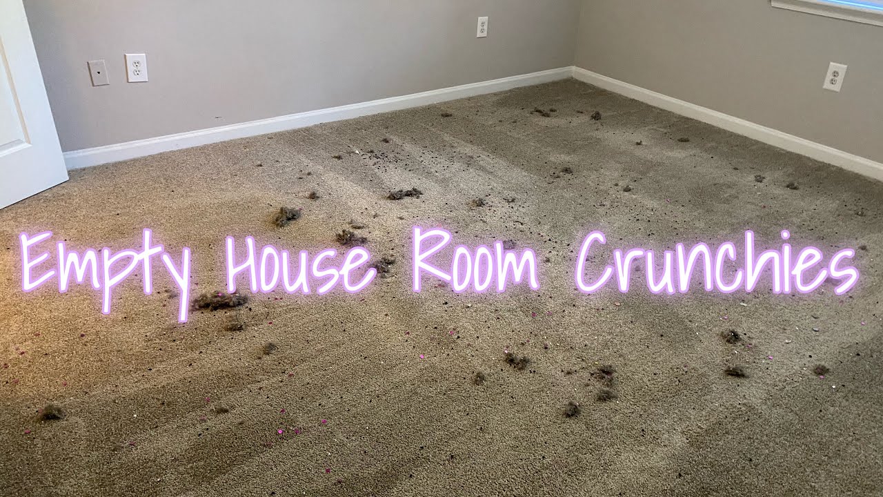 Empty Room Crunchies | Shark Vacuum