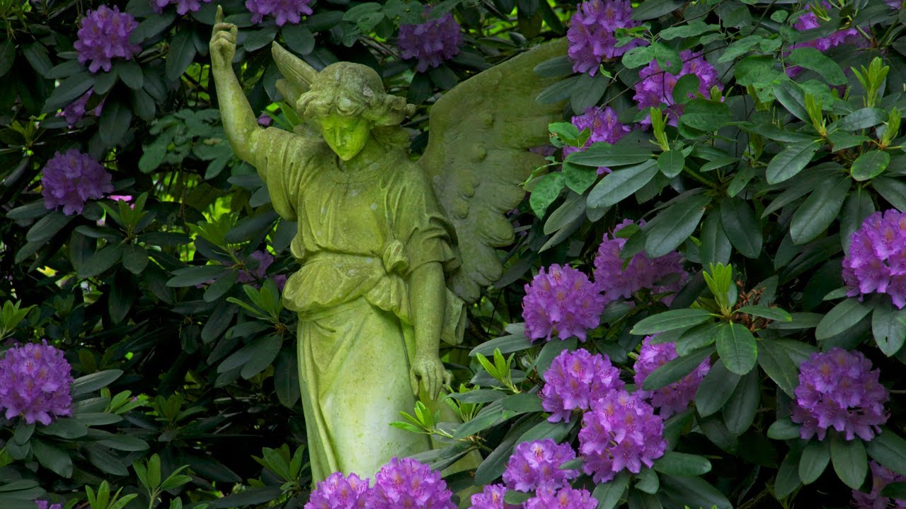 WO  ENGEL WACHEN - magische Momente auf dem größten Parkfriedhof der Welt