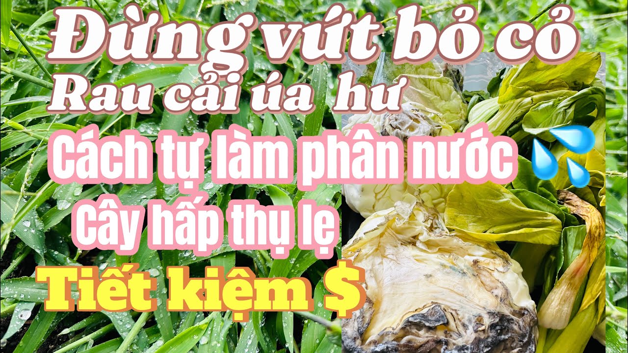 #163🇺🇸chia sẻ xử dụng rau cỏ vứt đi 🥬làm phân tưới cho cây giúp sai trái, khỏe, như ý 👍🪴🌶️🥒🍆🍊🍏
