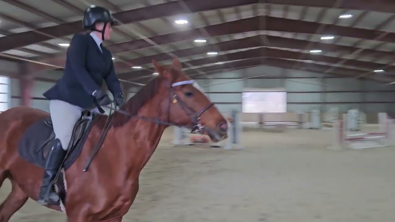 Reserve Grand Champion at NFF 3/15/2026