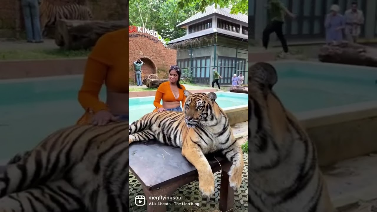 📍Tiger park Phuket