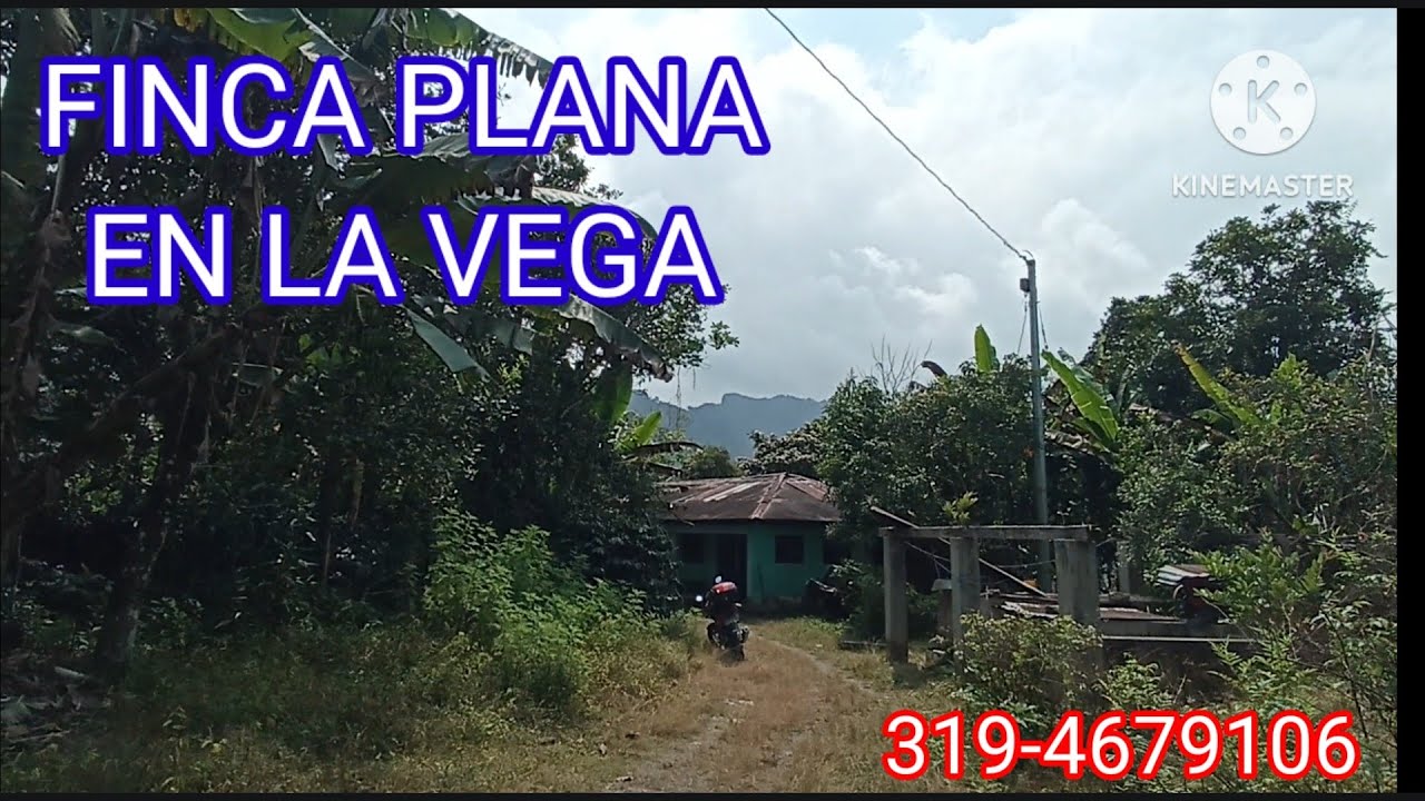 $670 MILLONES. (FINCA DE UNA FANEGADA PLANA) LA VEGA CUND. 3194679106