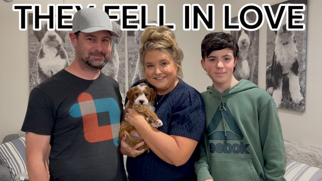 This Family Fell In Love With Lottie's Yellow Collar Male! LottieXMac