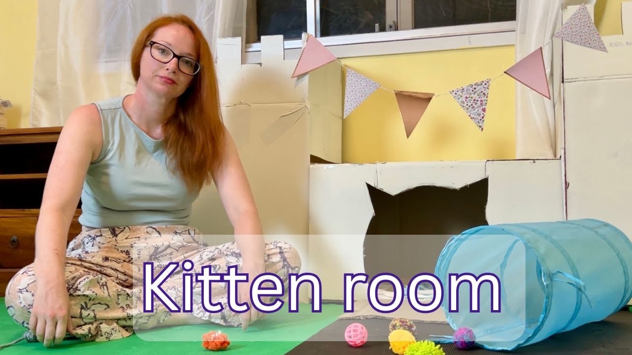 Decorating a foster kitten room on a budget - SUPER CUTE 🥰
