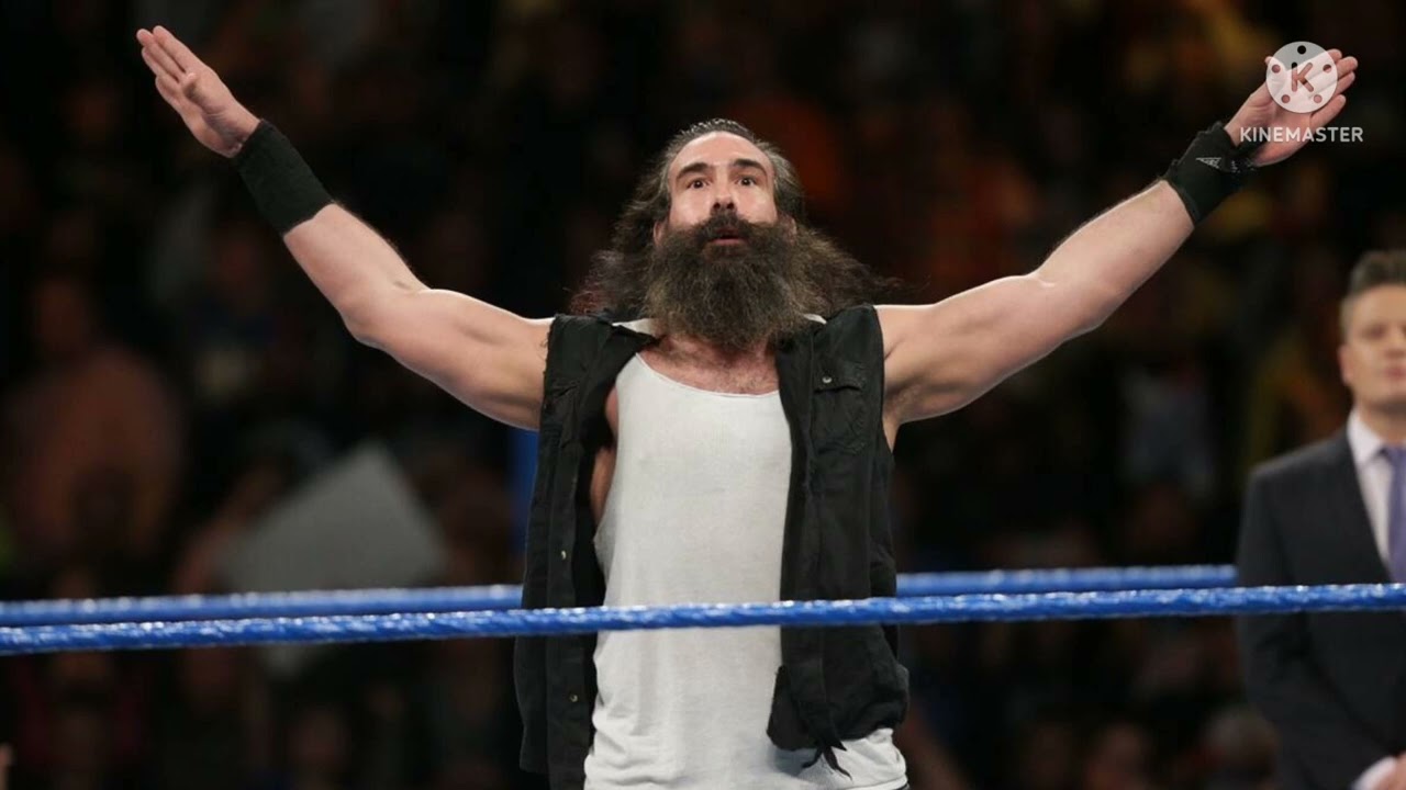 WWE Luke Harper 