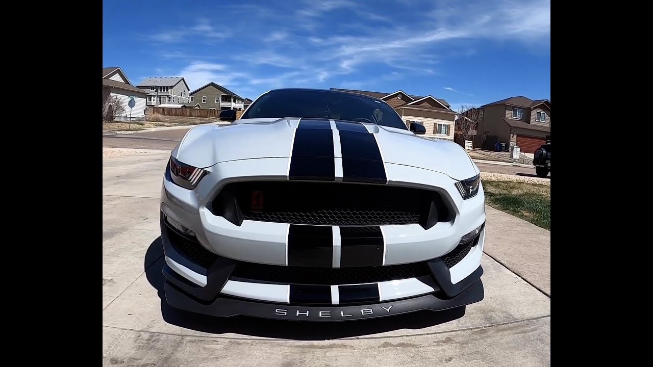 Shelby Gt350 Oil Consumption Confirmed! New motor on the way!?!