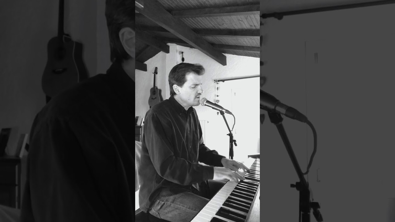 La nuit je mens (Alain Bashung), piano cover