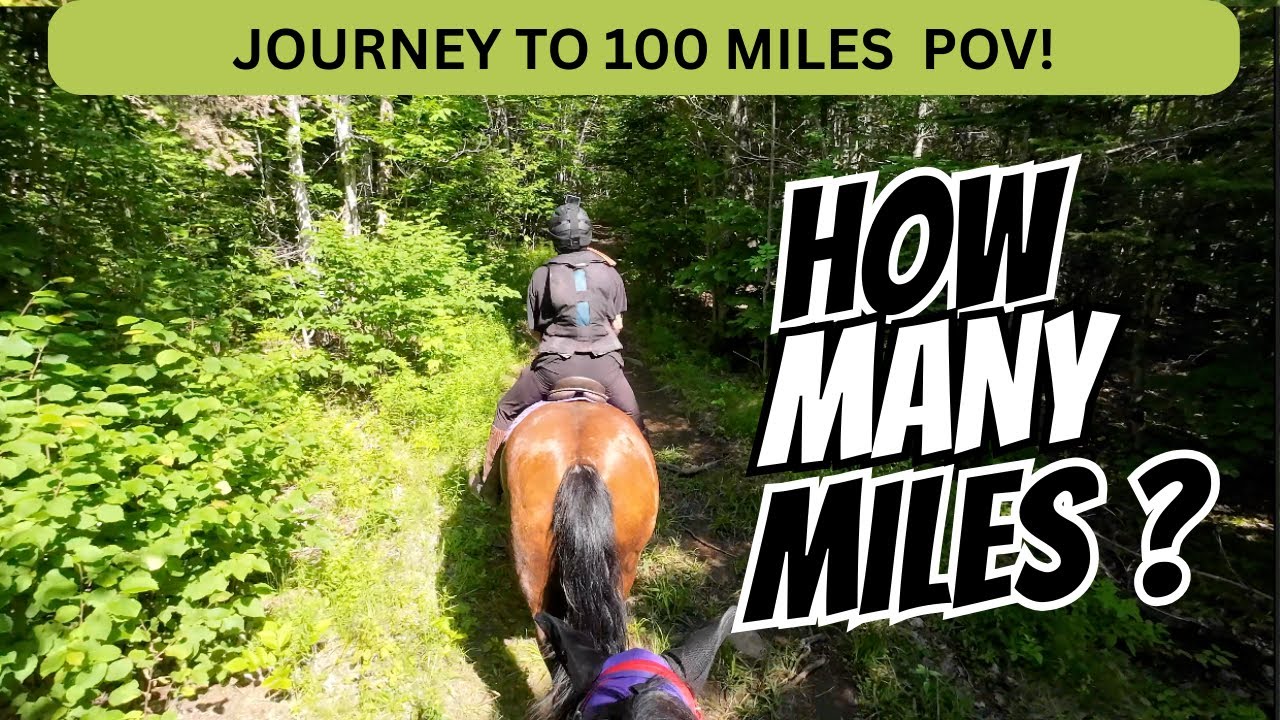 GoPro POV 30 Miles in 2 Days. Horseback Riding the Winding Trails of North Mountain.  (part 1 of 2)