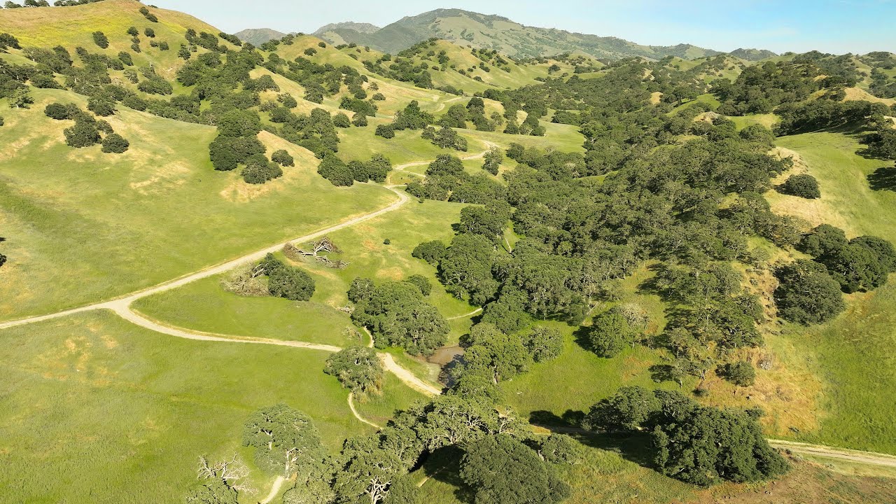 Bay Area Hike, Walnut Creek, Fossil Hill Trail, 4K