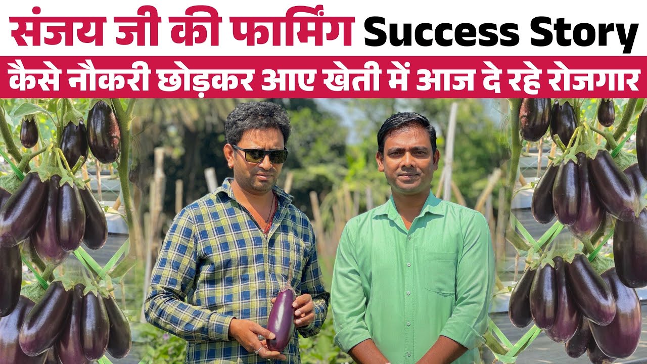 छोड़ी नौकरी और खेती को Career बना लिया | Success Story of Farmer Sanjay Das | Grafted बैंगन की खेती