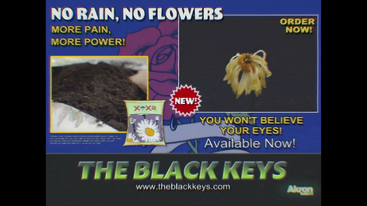 The Black Keys - No Rain, No Flowers (Official Audio)