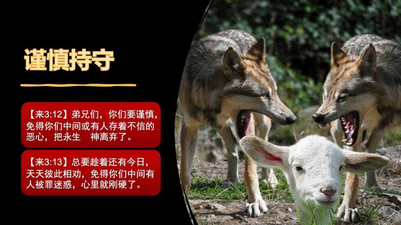 希伯来书03  异教的错误核心