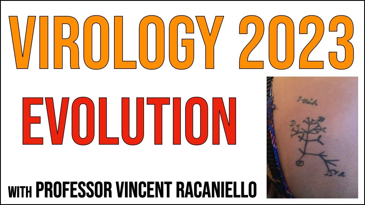 Virology Lectures 2023 #21: Evolution