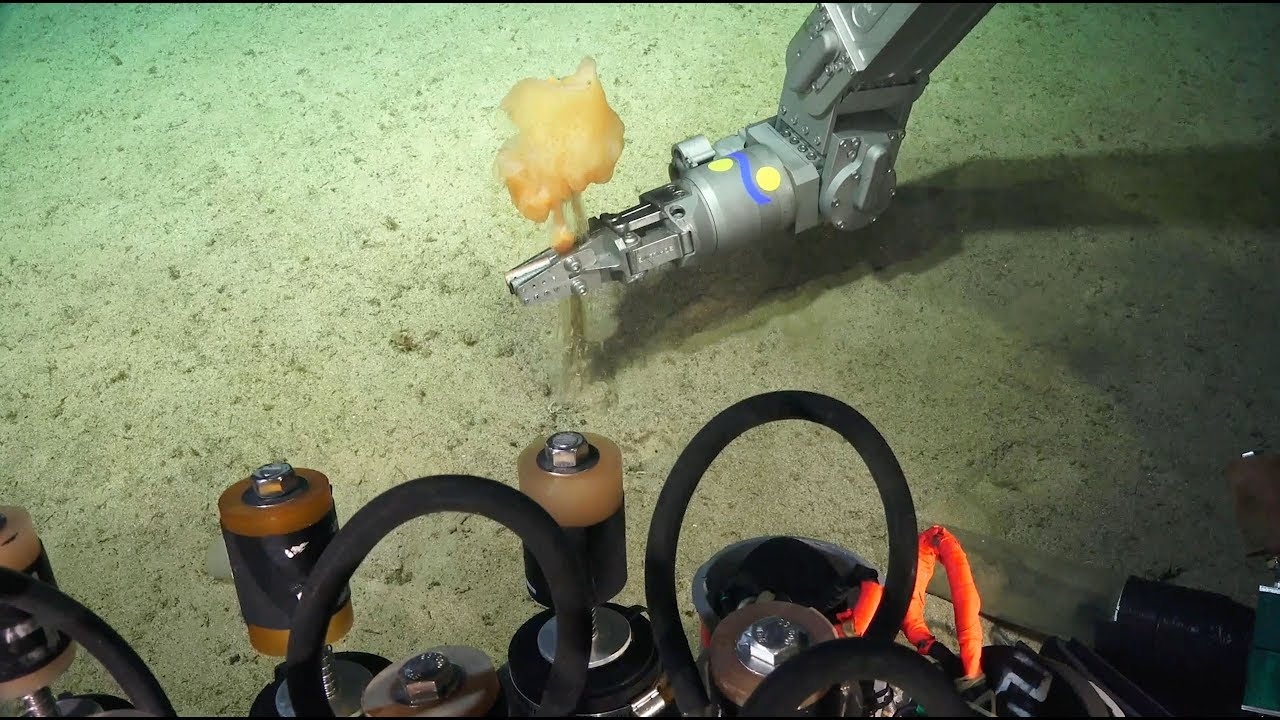 Sampling and Lab Methodologies - ROV SuBastian and RV Falkor - FK190106