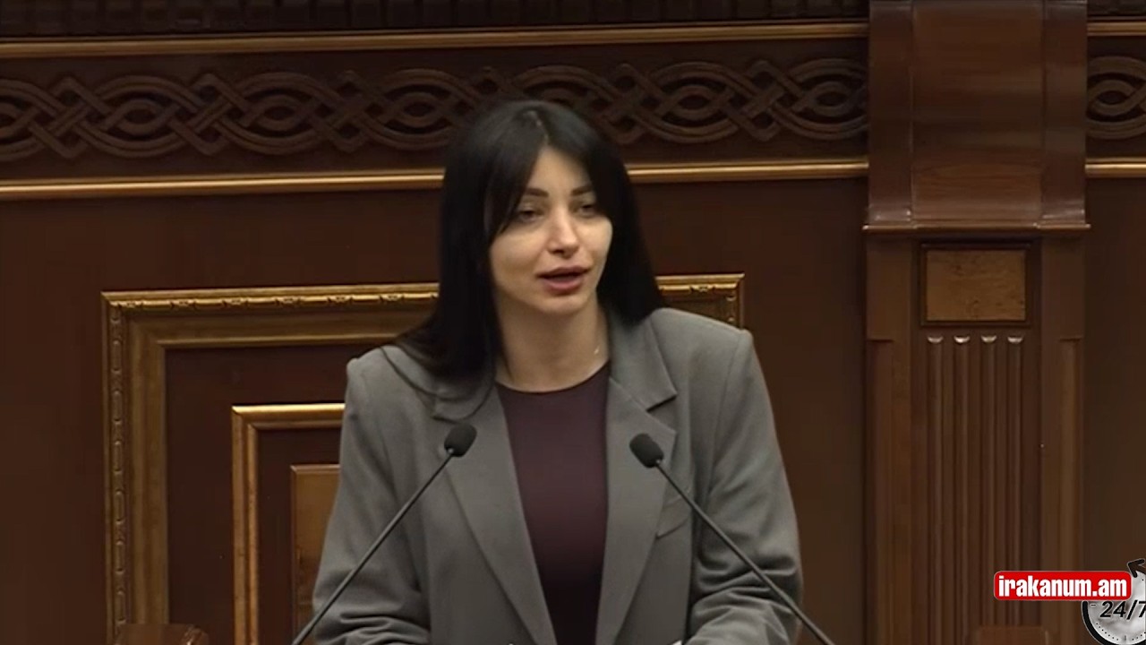 Ձեր էշը կապրոնից է. Հասմիկ Հակոբյանը՝ ընդդինությանը