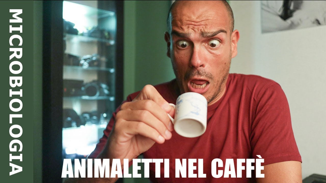 Cosa sono quegli ANIMALETTI nel mio CAFFÈ?