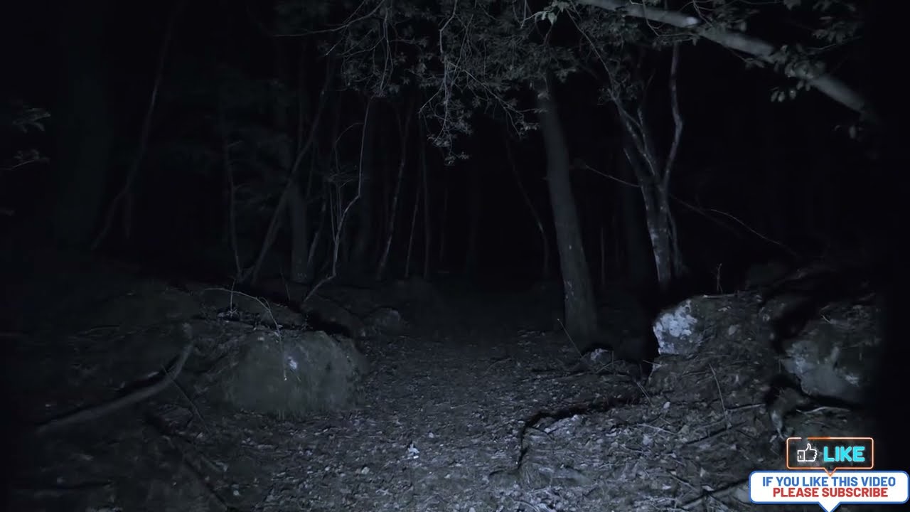 TOP 5 Terrifying Poltergeist Caught On Camera !