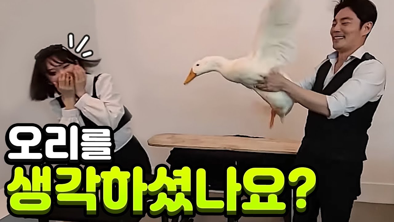 17년차 레전드 마술사의 공중부양 마술 w.우정잉님