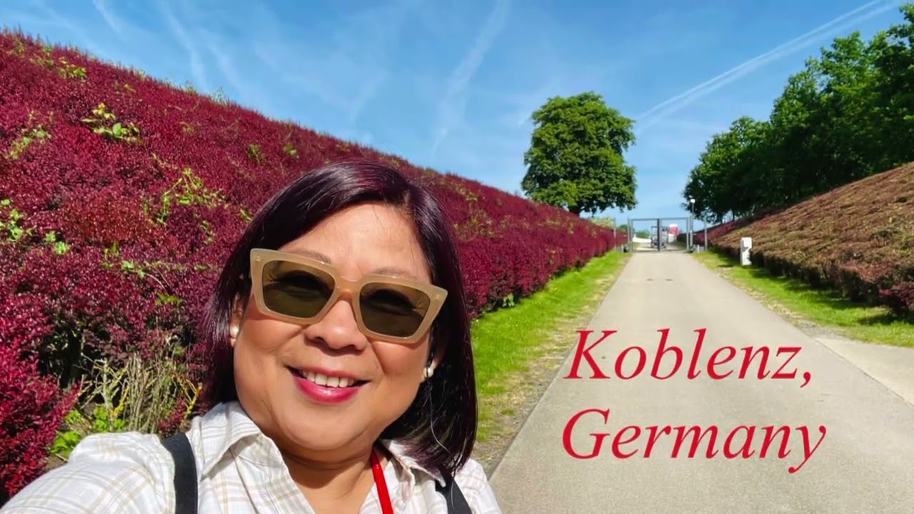 Viking River Cruise - Rhine Getaway - Amsterdam to Basel - Switzerland 5/2023