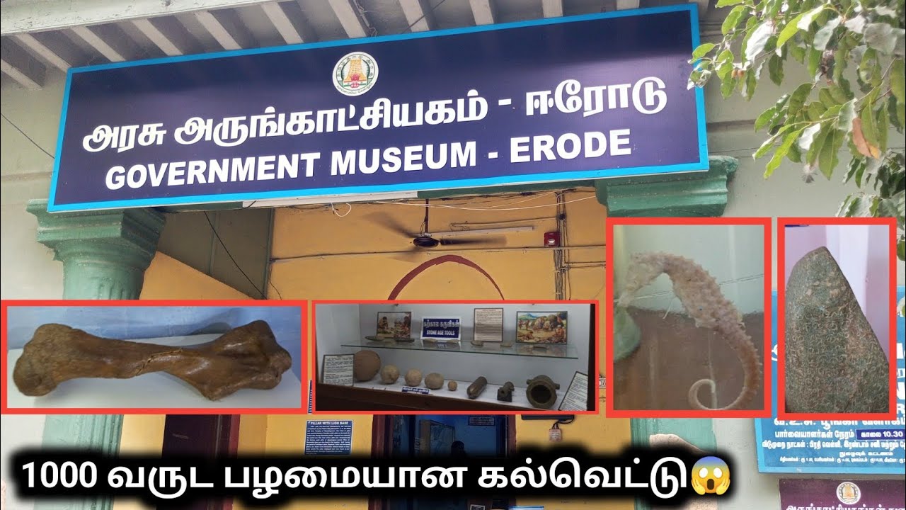 Erode Museum | பதப்படுத்தப்பட்ட கடல் குதிரை | Tamil | Mohamed Fazil M