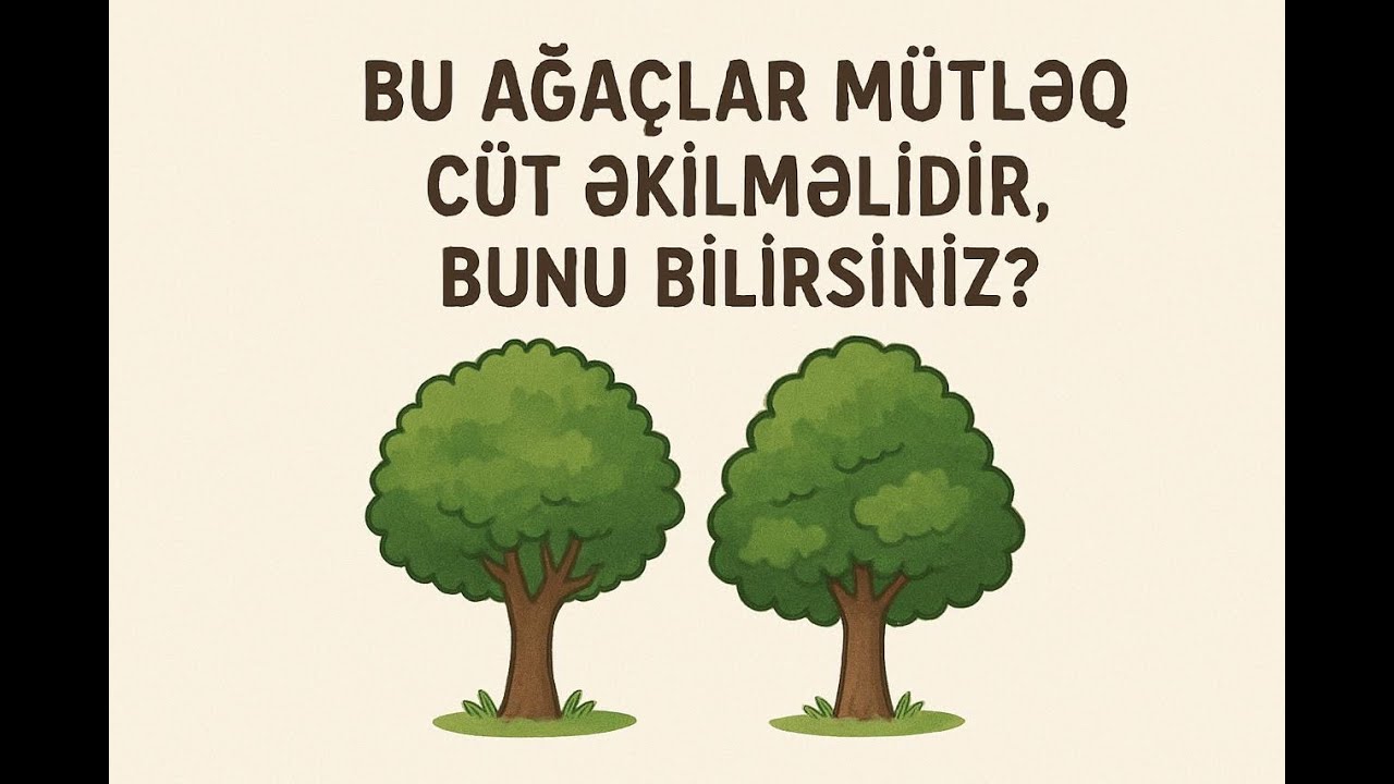 Bu ağaclar tək əkilsə meyvə verməz! 
