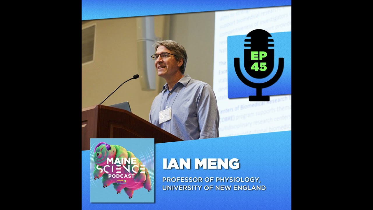 Ian Meng (neuroscience)