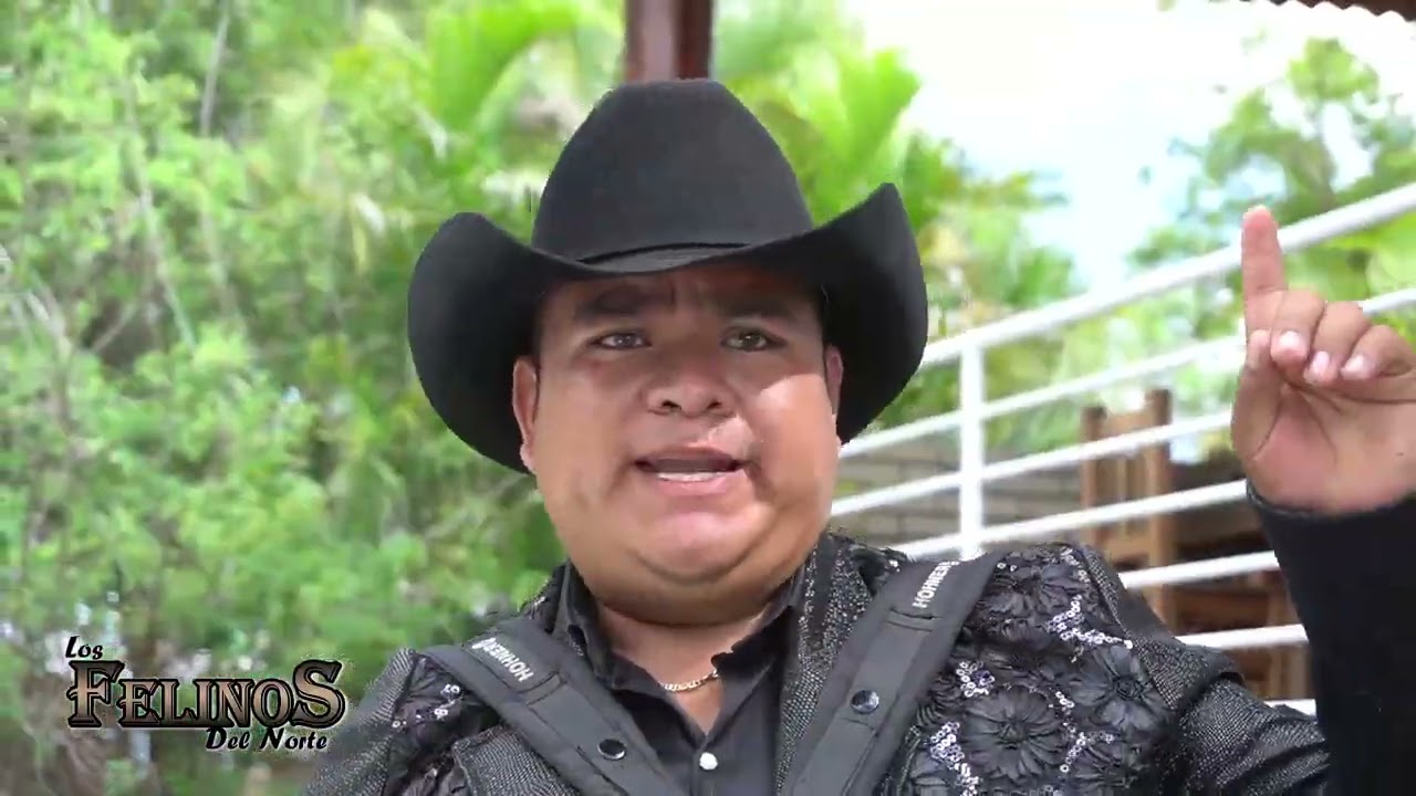 El Mensaje - Los Felinos Del Norte