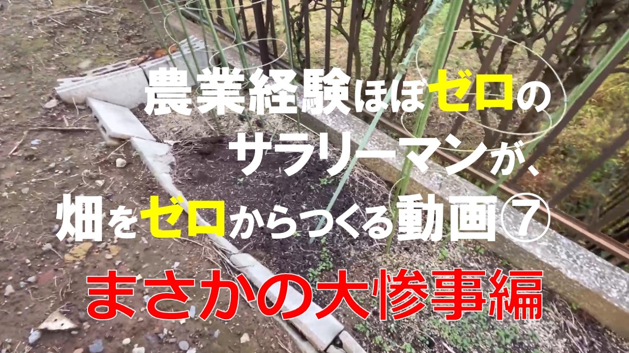 農業経験ほぼゼロのサラリーマンが、畑をゼロからつくる動画⑦
