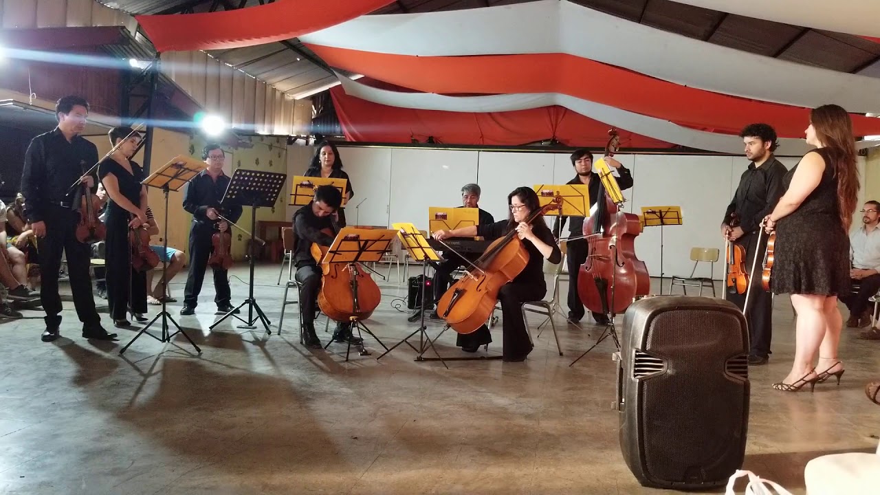 Antonio Vivaldi Concierto para dos Chelos RV 531 en sol menor
