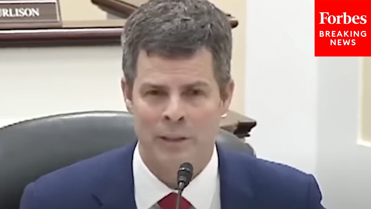 'Proof That That Evil Does Exist': John McGuire Condemns 'Egregious' Examples Of Animal Testing