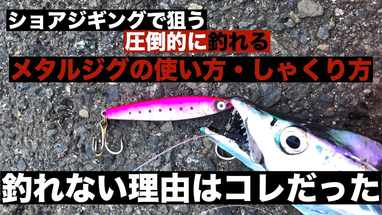 ショアジギングで狙う！タチウオが釣れるジグのしゃくり方・動かし方